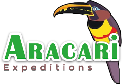 Logo aracari